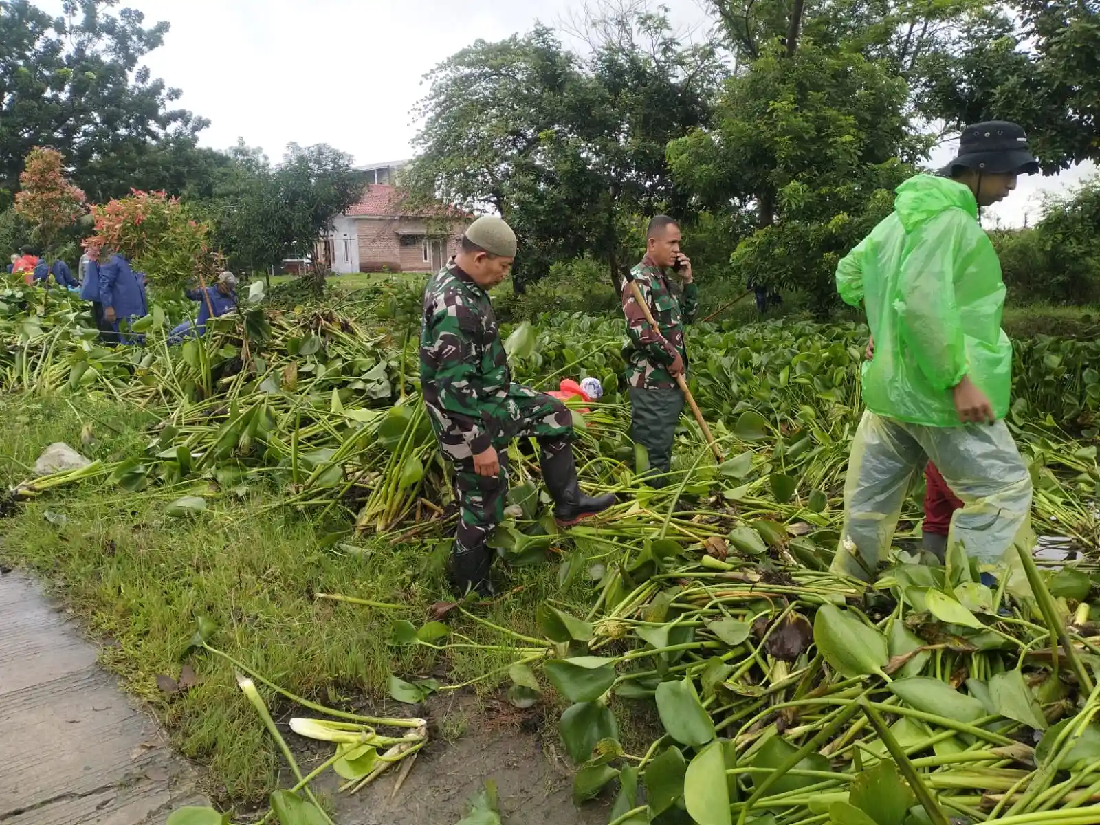 Swadaya Personil Kodim 0616/Indramayu Bersihkan Eceng Gondok Penyebab Banjir di Pusat Kota